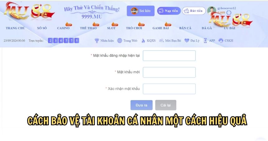 Cách bảo vệ tài khoản cá nhân một cách hiệu quả